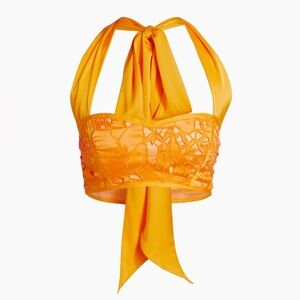 Ramy Brook Lina Embroidered Satin Crop Top Size 10